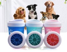 Dog Grooming & Wellness
