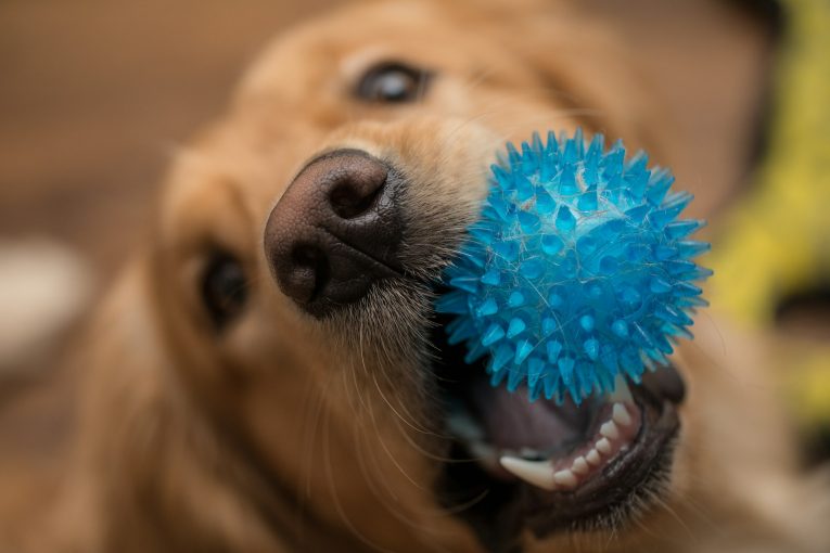 elisa-kennemer-wPKzFojL_tQ-unsplash