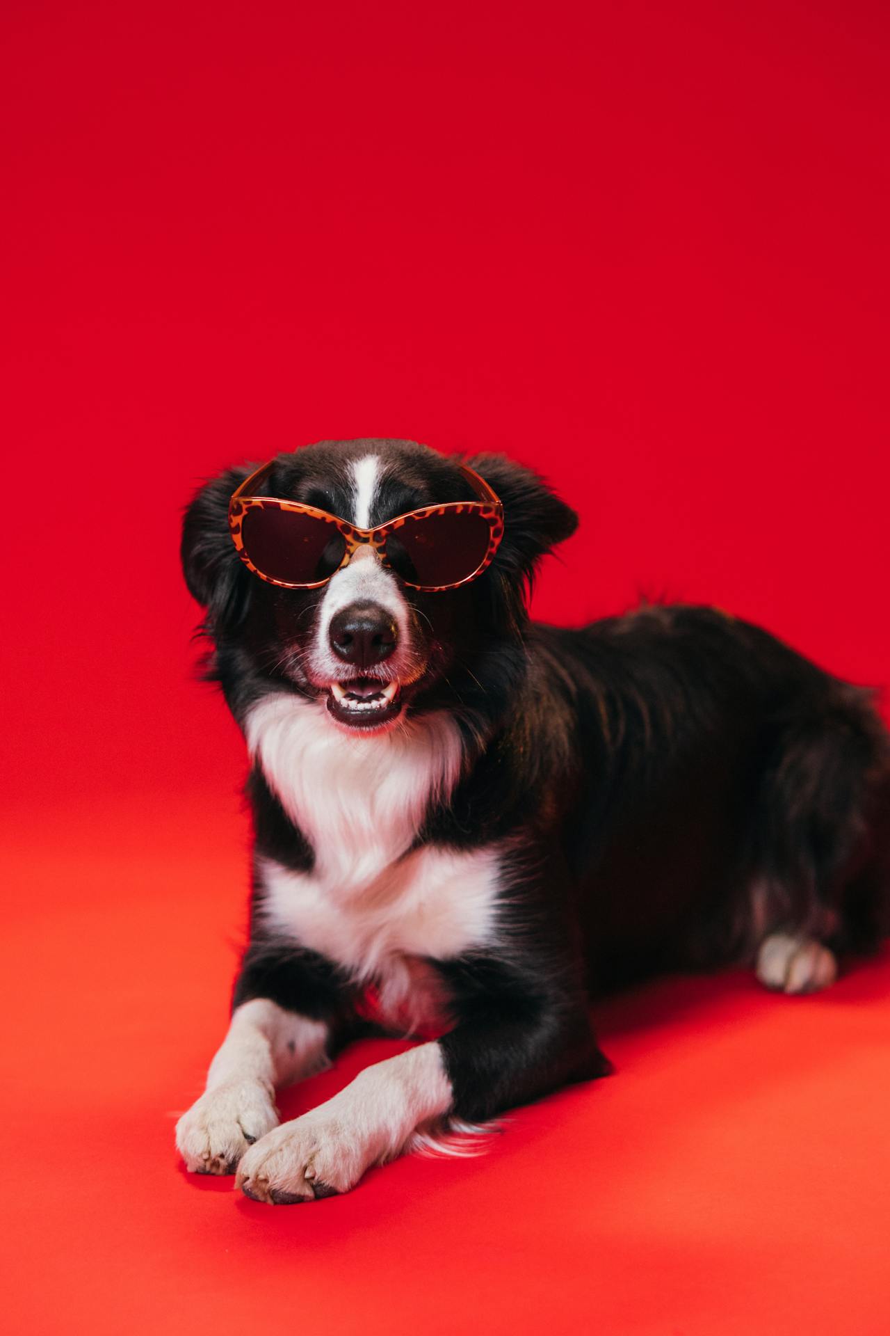 pexels-koolshooters-7678409