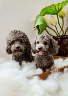 Bath & Shower