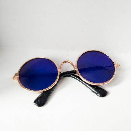 Pet Glasses Sunglasses