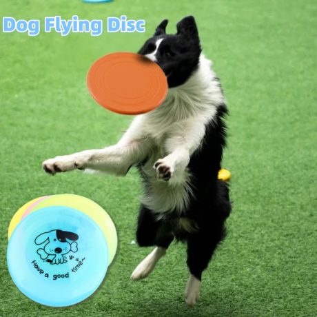 Silicone Flying Discs