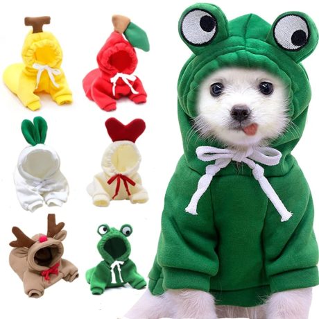 Cozy Fruit Hoodies for Dogs