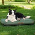 Inflatable Waterproof Pet Travel Mat